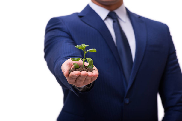 Бизнесмен держит зеленую капусту изолированной на белом - Фото, изображение