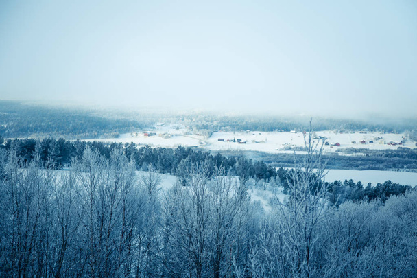 Snowy Norveç kış günü bir güzel orman manzara - Fotoğraf, Görsel