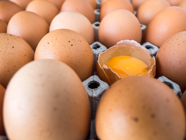 生の鶏の卵のクローズ アップ表示。すべての卵は、鶏の卵をクラックするための 1 つの卵があります。. - 写真・画像