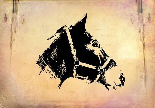 desenho a lápis cabeça de cavalo mão livre
 - Foto, Imagem