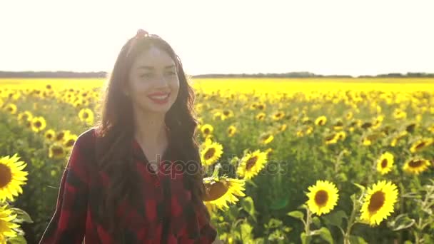 Boldog lány élvezi nyári napraforgó mező - Felvétel, videó