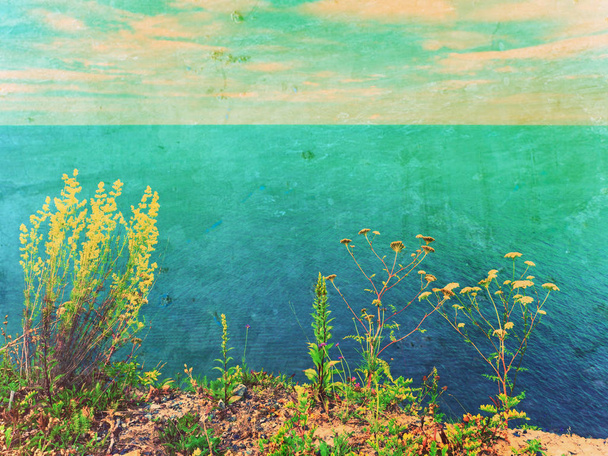 Film effect.Grass straw on view point above sea level. Grass stalks, blue water level in contrast. - Photo, Image