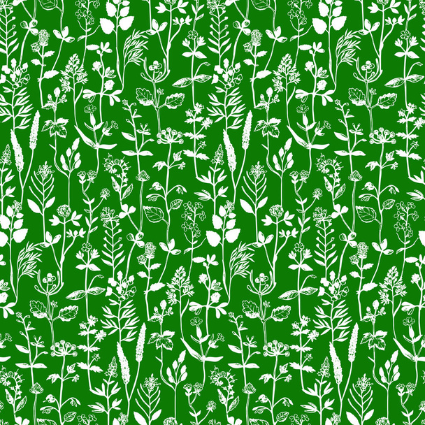 Herbal Seamless Pattern - Vetor, Imagem