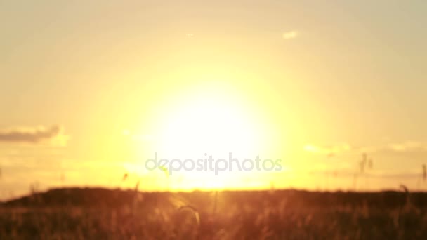 Ženské ruce držící květinový věnec v západu slunce světlo - Záběry, video