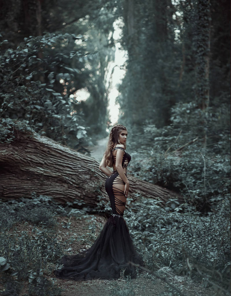 Wild Princess , vampire - Foto, Imagem