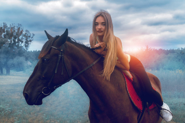beautiful young lady posing on horseback - Foto, afbeelding