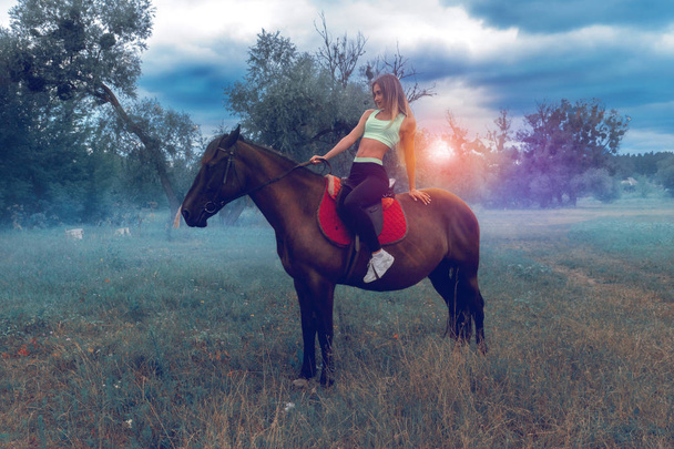 sexy horsewoman posing on a horse - Fotoğraf, Görsel
