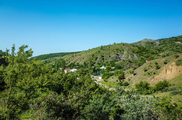 Деревня Зеленогорье в июне
 - Фото, изображение