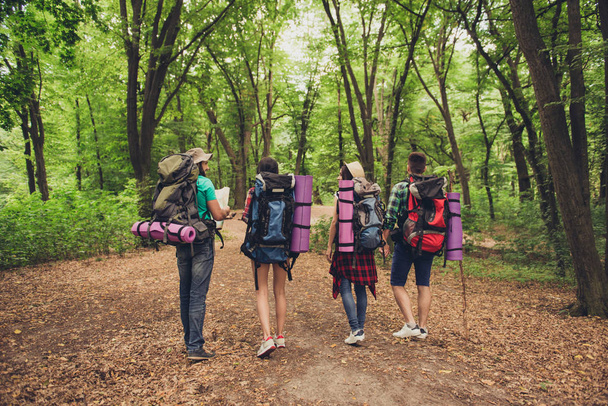 Four tourists got lost in the forest, trying to find the way, looking serious and focused, all having backpacks, mates, all needed for overnight stay - Photo, image