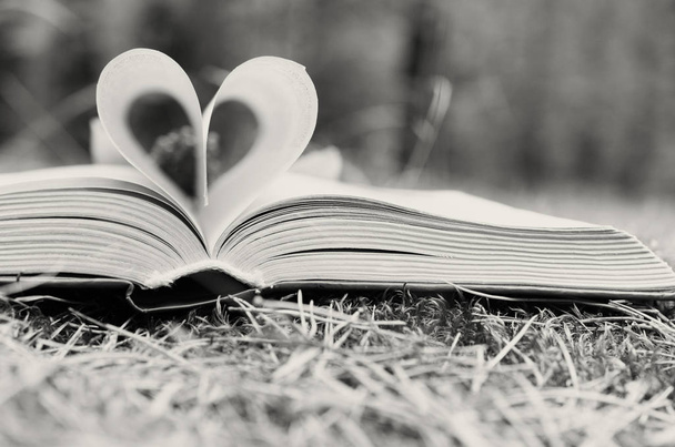 Stránky otevřené knihy jsou poskládané ve formě srdce. - Fotografie, Obrázek