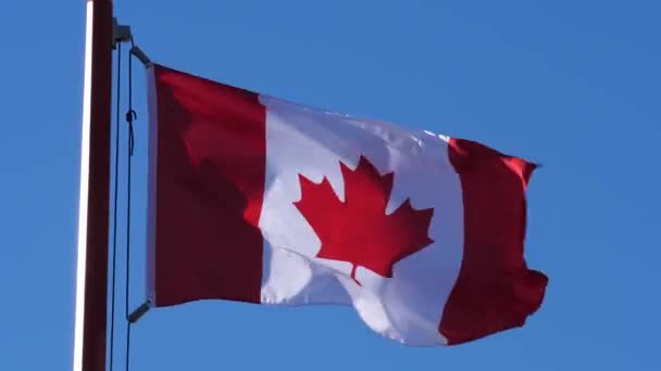Movimiento de la bandera canadiense ondeando sobre asta de bandera en un cielo azul
 - Imágenes, Vídeo