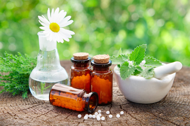 Bottles of homeopathic globules, mortar with mint leaves, daisy flower in flask and juniper bunch. Homeopathy medicine concept. - Photo, image