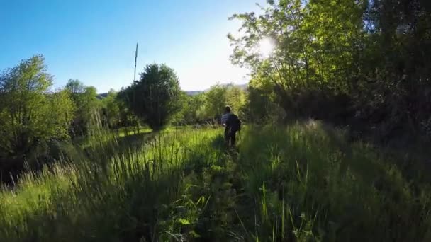 następujące backpacker wycieczkowicz mężczyznę idącego w dziki Las. piesze wycieczki i trekking przygoda w lesie na zewnątrz zielony natura z filtrowania słońca światła w słoneczne, letnie day.4k wideo - Materiał filmowy, wideo