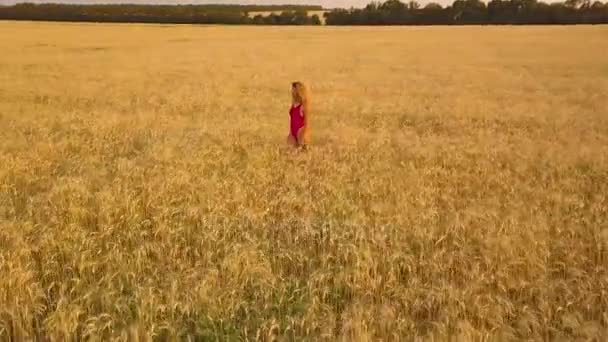Young beautiful girl in red walking in field. Aerial view. 4K - Video