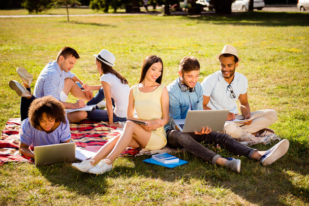 It`s more easy together! Six cheerful classmates are sitting on plaid on the green grass in spring park near campus and study, preparing for exams, tests, looking in camera and smiling - Zdjęcie, obraz