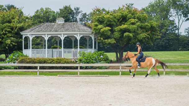 женщина верхом на лошади красивой коричневой кобыле и тренировки в песчаном открытом манеже на лошадином ранчо
. - Фото, изображение