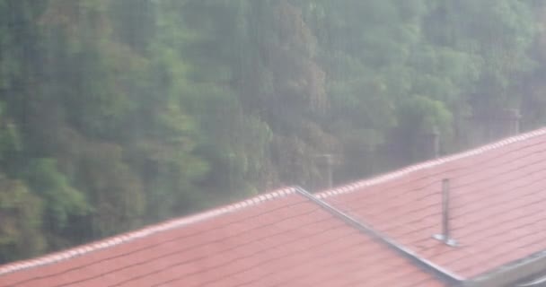 4 k okno krople deszczu, czerwony dach & kołysząc drzewa. - Materiał filmowy, wideo
