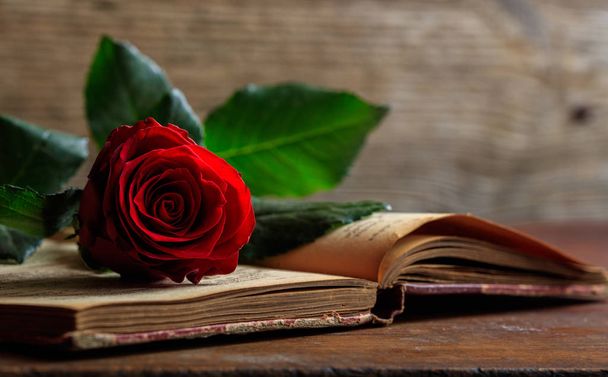 Rode roos op een vintage boek op donkere achtergrond - Foto, afbeelding