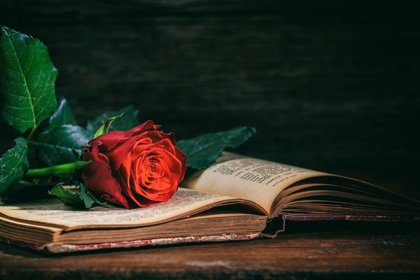 Red rose on a vintage book on dark background - Photo, image