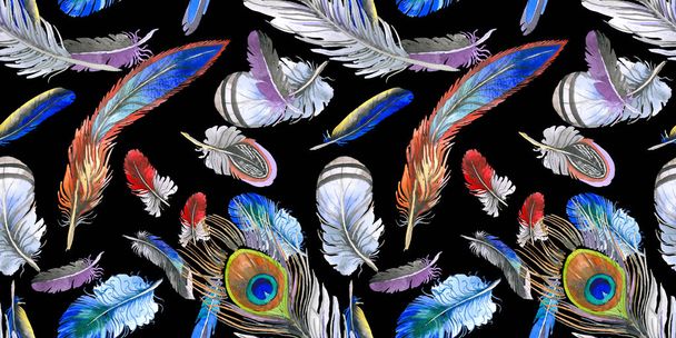 Akvarelu ptačí pírko vzor z křídla. - Fotografie, Obrázek