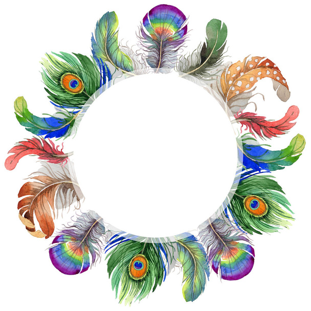 Watercolor bird feather frame from wing. - Fotografie, Obrázek