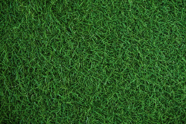 Πράσινο γρασίδι υφή, υφή χλοοτάπητα - Φωτογραφία, εικόνα
