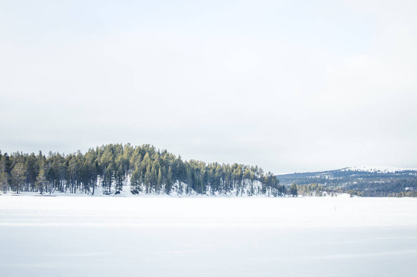 Un hermoso paisaje de una llanura congelada en un día nevado de invierno noruego
 - Foto, imagen