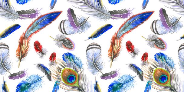 Akvarelu ptačí pírko vzor z křídla. - Fotografie, Obrázek