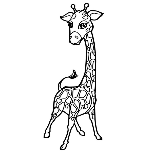cartoon cute giraffe coloring page vector. - Vector, Image