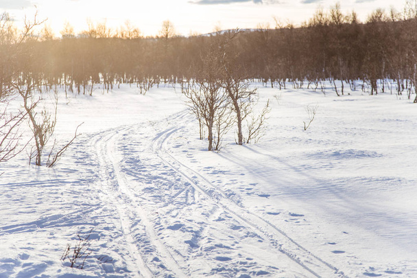 Un hermoso paisaje blanco de un día de invierno nevado noruego con pistas para motos de nieve o trineos para perros
 - Foto, Imagen