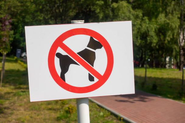 Verbotsschild für Hundeauslauf - Foto, Bild
