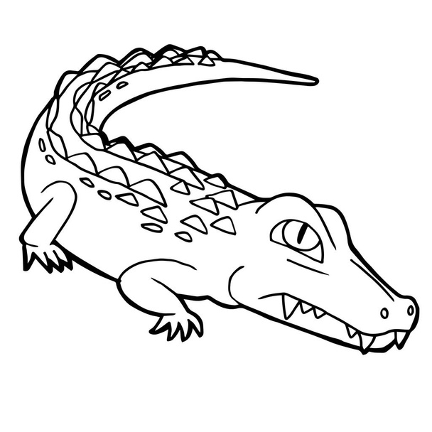 cartoon cute crocodile coloring page vector - Vector, Image