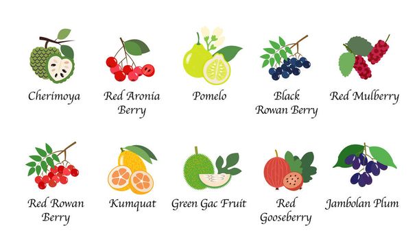 Naturaleza orgánica salud fruta aislado vector colección conjunto
 - Vector, Imagen