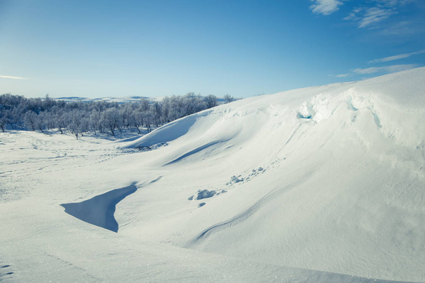 Piękny biały krajobraz śnieżny dzień norweski zima - Zdjęcie, obraz