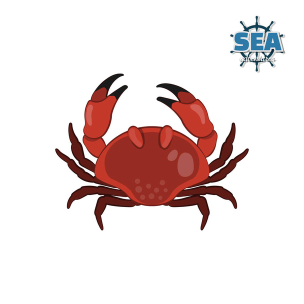 Crab in cartoon style on a white background. Isolated drawing - Vector, Image