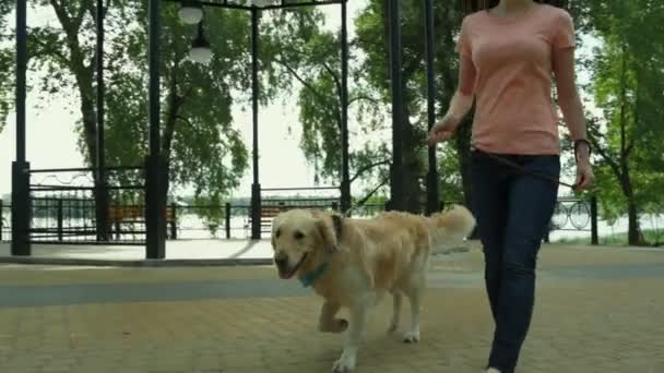 彼女の犬と一緒に歩いている熱狂的な若い女性 - 映像、動画