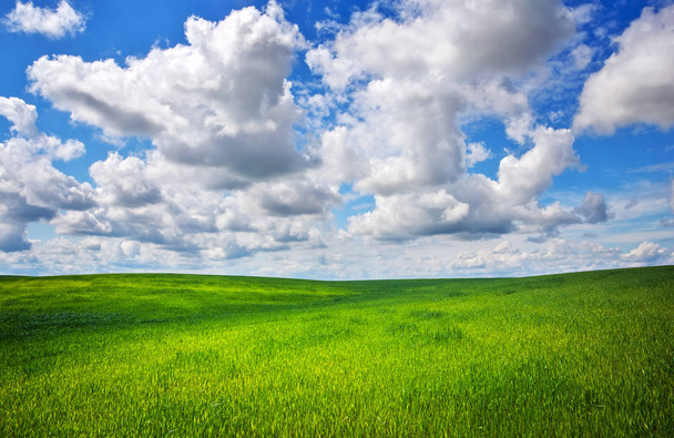 Erba verde e cielo blu con nuvole bianche
 - Foto, immagini