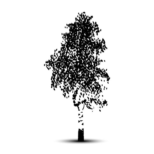silhouette bouleau d'arbre détaché avec des feuilles sur fond blanc
. - Vecteur, image