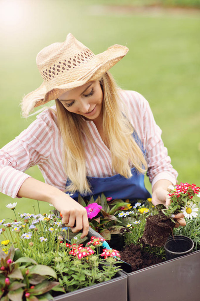 Femme cultivant des fleurs à l'extérieur en été
 - Photo, image