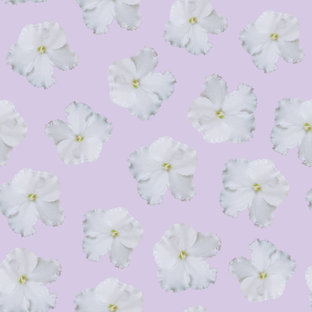 Seamless white floral pattern - Foto, Bild