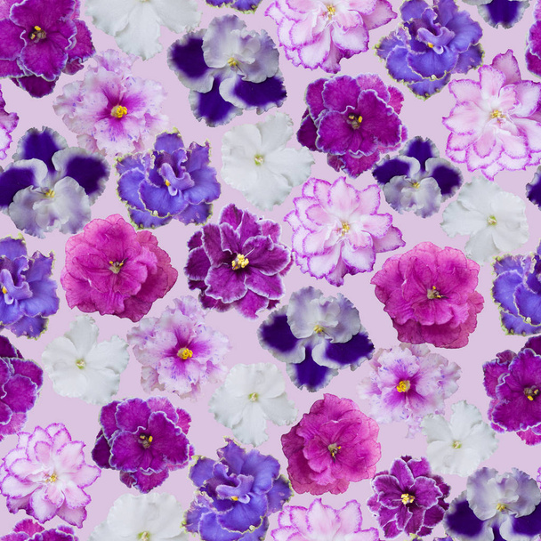 Seamless violets floral pattern - Photo, Image