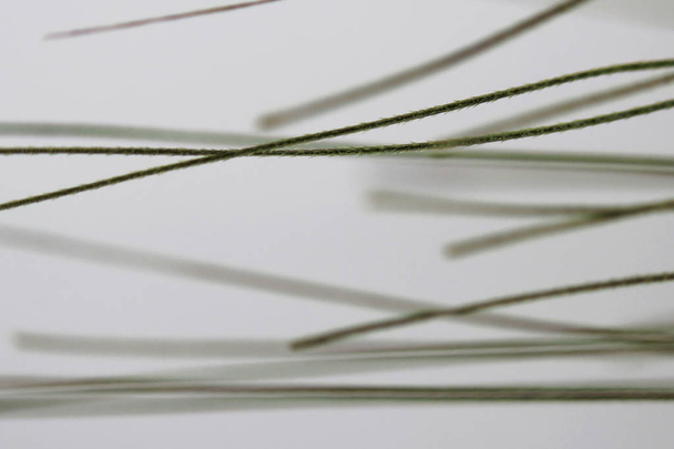 grüne Weizenähre in Großaufnahme mit Setas. als Krankheitsursache Getreidefisteln bei Nutztieren - Foto, Bild