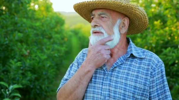Ein alter Bauer mit grauem Bart steht im Freien. Gärtner überblickt den Garten - Filmmaterial, Video