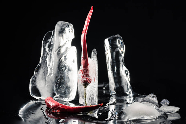 chili peppers in melting ice - Fotografie, Obrázek