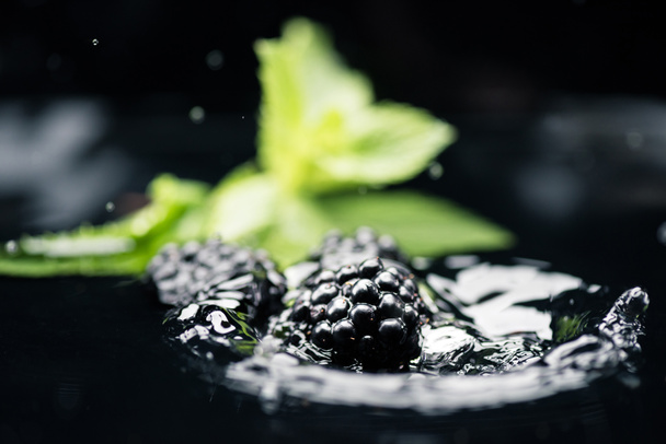 ripe blackberries falling in water - Foto, Imagen