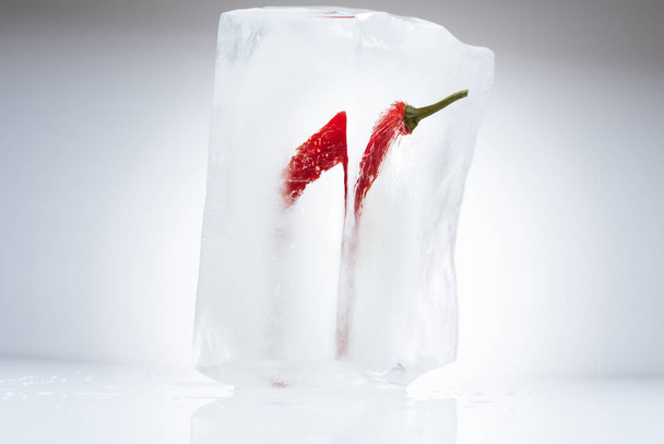 chili pepper in melting ice - Foto, immagini