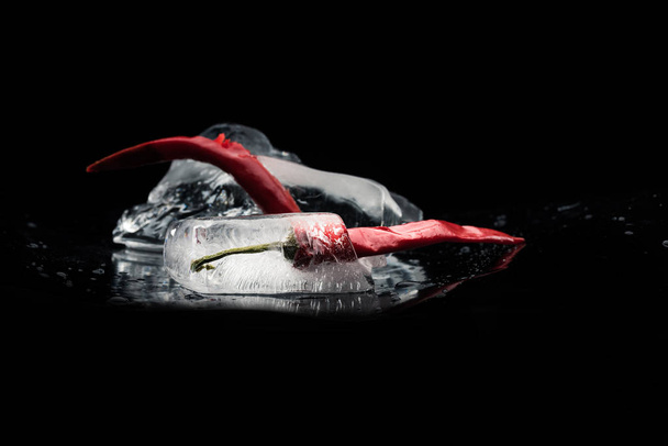 chili peppers in melting ice - Photo, Image