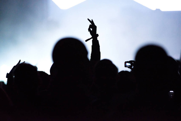 Achteraanzicht van menigte met uitgestrekte armen bij concert - Foto, afbeelding
