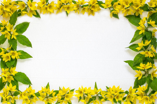Arreglo floral festivo sobre fondo blanco
  - Foto, Imagen