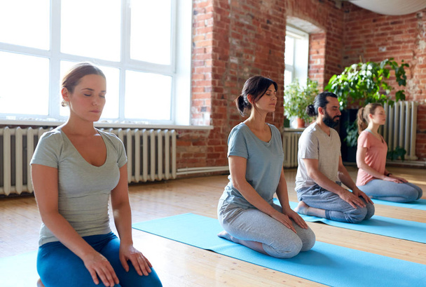 grupo de personas meditando en el estudio de yoga - Foto, Imagen